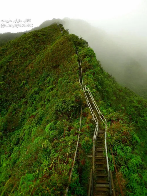 پله های هایکو با نام پله هایی رو به بهشت در جزیره “اوهائو