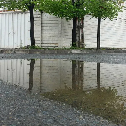 dailytehran reflection trees city rainy spring teh Tehran