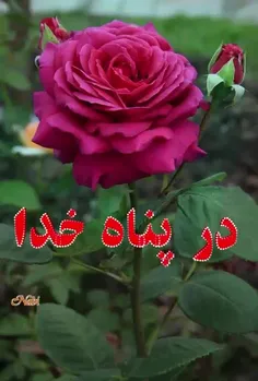 ‍ حالِ خوبت را به هیچکس گره نزن !