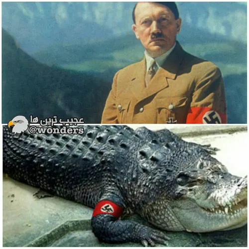 یکی از حیوانات خانگی مورد علاقه هیتلر، یک تمساح بود که بع