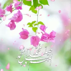 🌸✨الـهـی هـمـه درهـای مـهـربـانـی