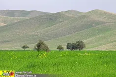 طبیعت لالی استان خوزستان