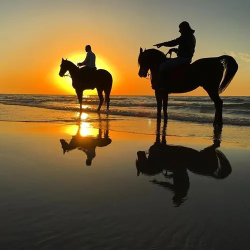 Enjoying the sunset at Gaza beach. iPhone photo by Wissam