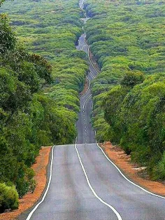 جاده ای زیبا ودیدنی در #جزیره #کانگوروها 