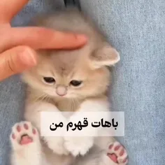 باهاتون قهرم من چرا لایک نمیکنید؟