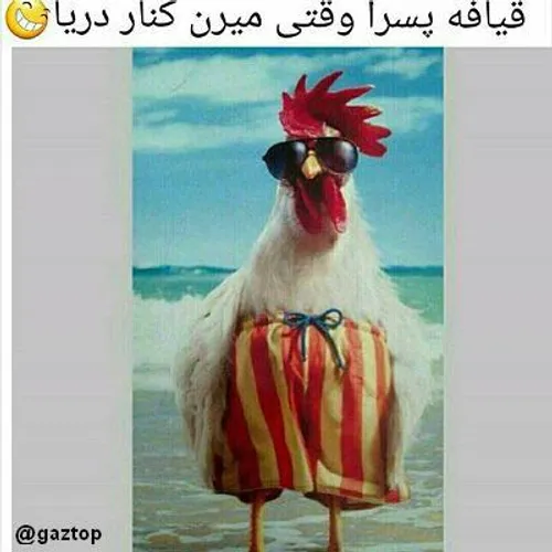 هههههههه همینجورین....