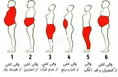 زمانی دست از غذا خوردن بکشید که حدود 80 درصد احساس سیری م