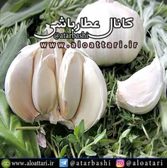 #سیر را ناشتا بخورید