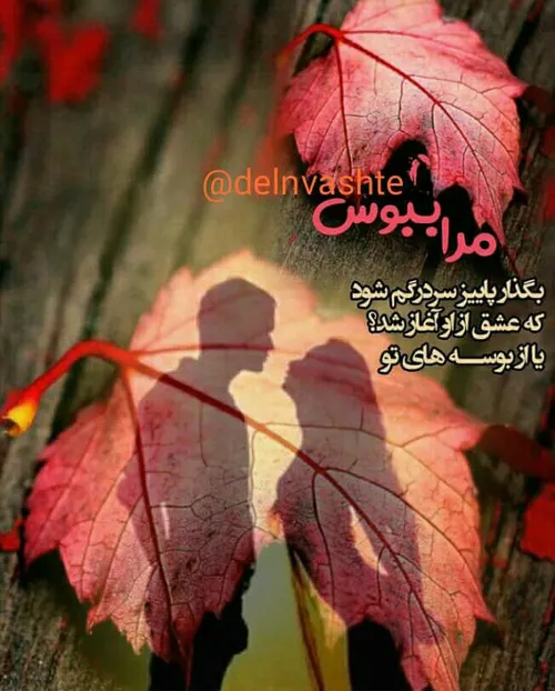 عکس نوشته yasha95 24855715 - عکس ویسگون