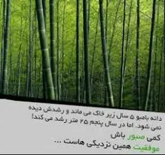 #عکس_نوشته #گوناگون #صبر #موفقیت