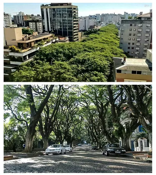 خیابانی با نام رائو گونکالو در پورتو آلگره برزیل به عنوان