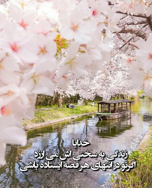 🌸 🍃 🌼 🍃 🌸 🍃 🌼