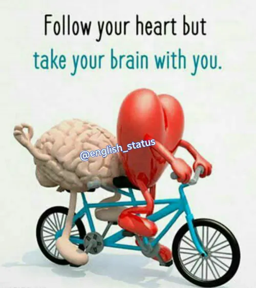 Follow your heart but,