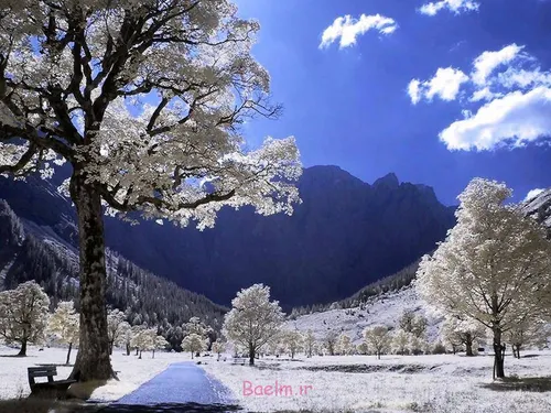 طبیعت زمستانی سالها قبل