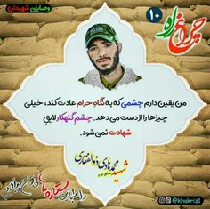 #شهید_محمدهادی_ذوالفقاری