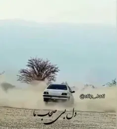 سلامتی هر چی ۴۰۵😈🖐🏻