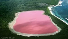 دریای صورتی: در غرب استرالیا یک دریاچه قرار دارد که رنگ آ