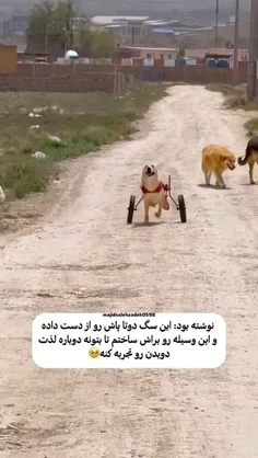 دمتون گرم که اینقدر انسانید🥹