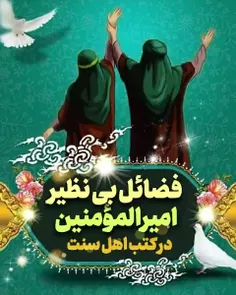 فضائل امیرالمؤمنین علی (ع) در کتب اهل سنت