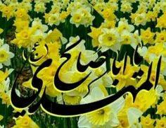 #السلام_علیک_یا_ابا_صالح_المهدی 