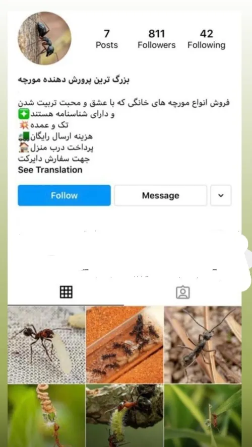 دوستان استفاده کنید از این فرصت😂😂