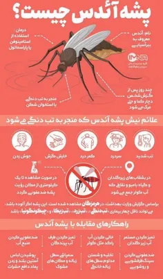 موواظب باشید خیلی بده