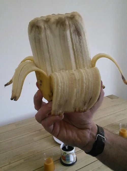 به این میگن خر شانس 😂 🍌 موز و دیگر هیچ 😉 خوراکی هنر خلاقی