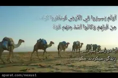 سوره فاطر آیات ۴۵_۴۴