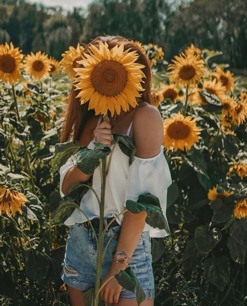 Be like a sunflower.