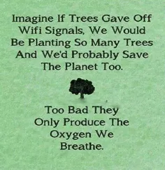 تصور کنید اگر درختان سیگنال وای فای تولید میکردند ، ما در