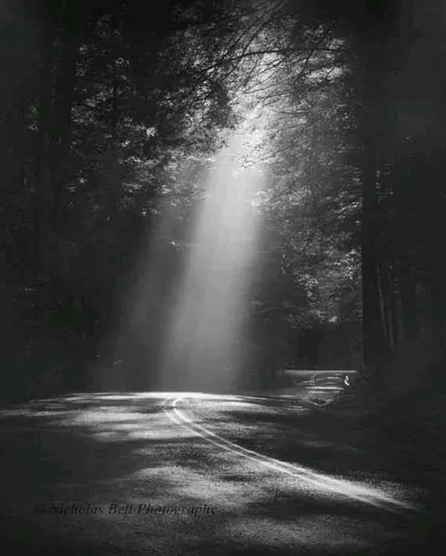 تاریکی مطلق تنهایی خیابان نور