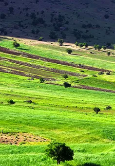 شهر زیبای دورود