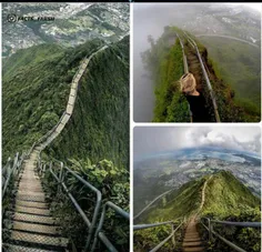 مسیر خطرناک و زیبایی معروف به پلکان بهشت در هاوایی!