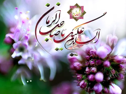 می گویند ما آب مجانی می خواستیم