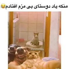 دوست این چنینی داری آیا؟😂