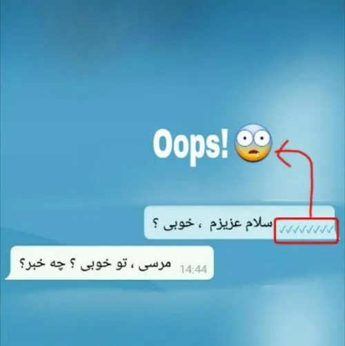 معنی تیک های پیامرسان های ایرانی: