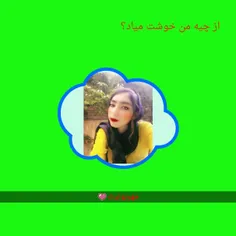 زهرا صالحی فر 