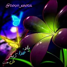 مذهبی mahdiafshari 14688514