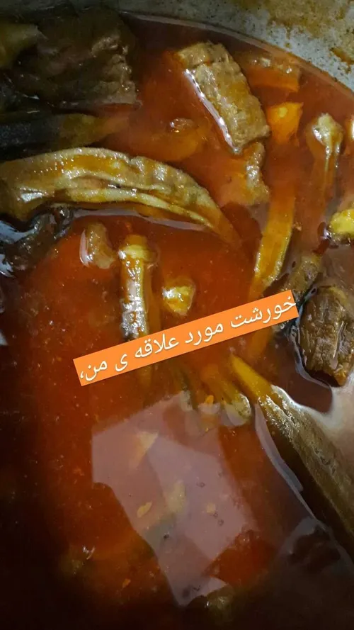 مچکرم من