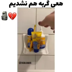 هعی گربههه هم نشدیم 🗿💔: