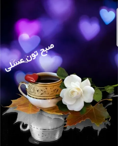 ❤ ️🌸 🍃 هیـچ خوشبخـتی بزرگتـر از