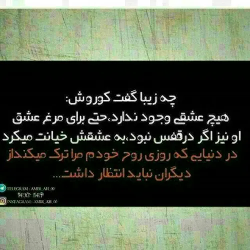 عکس نوشته homayon.karami 18903803 - عکس ویسگون