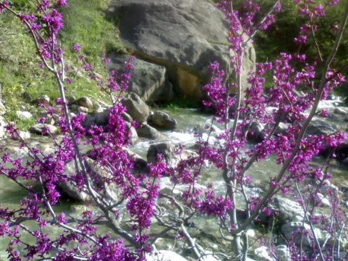 هورامانی روستای ده ل