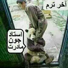 خخخخخخخ
