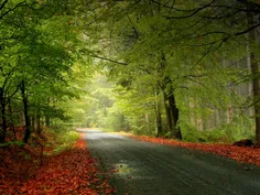 روزی ملا در خانه ای رفت و از صاحبخانه قدری نان خواست دختر