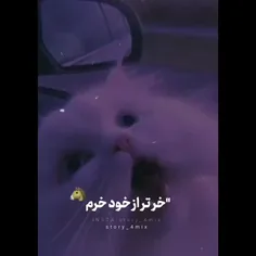 چقد حق