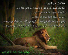 مردادیاش  لاییییک