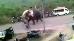 قدرت فیل ببینید
