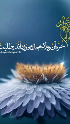 🚩  السلام علیک یاصاحب الزمان