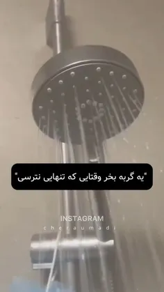 گربه تسخیر شده🐱